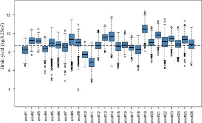 Genomic prediction for grain yield and micro-environmental sensitivity in winter wheat
